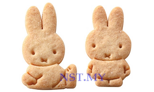 Japan Import Rabbit Cookies Mould